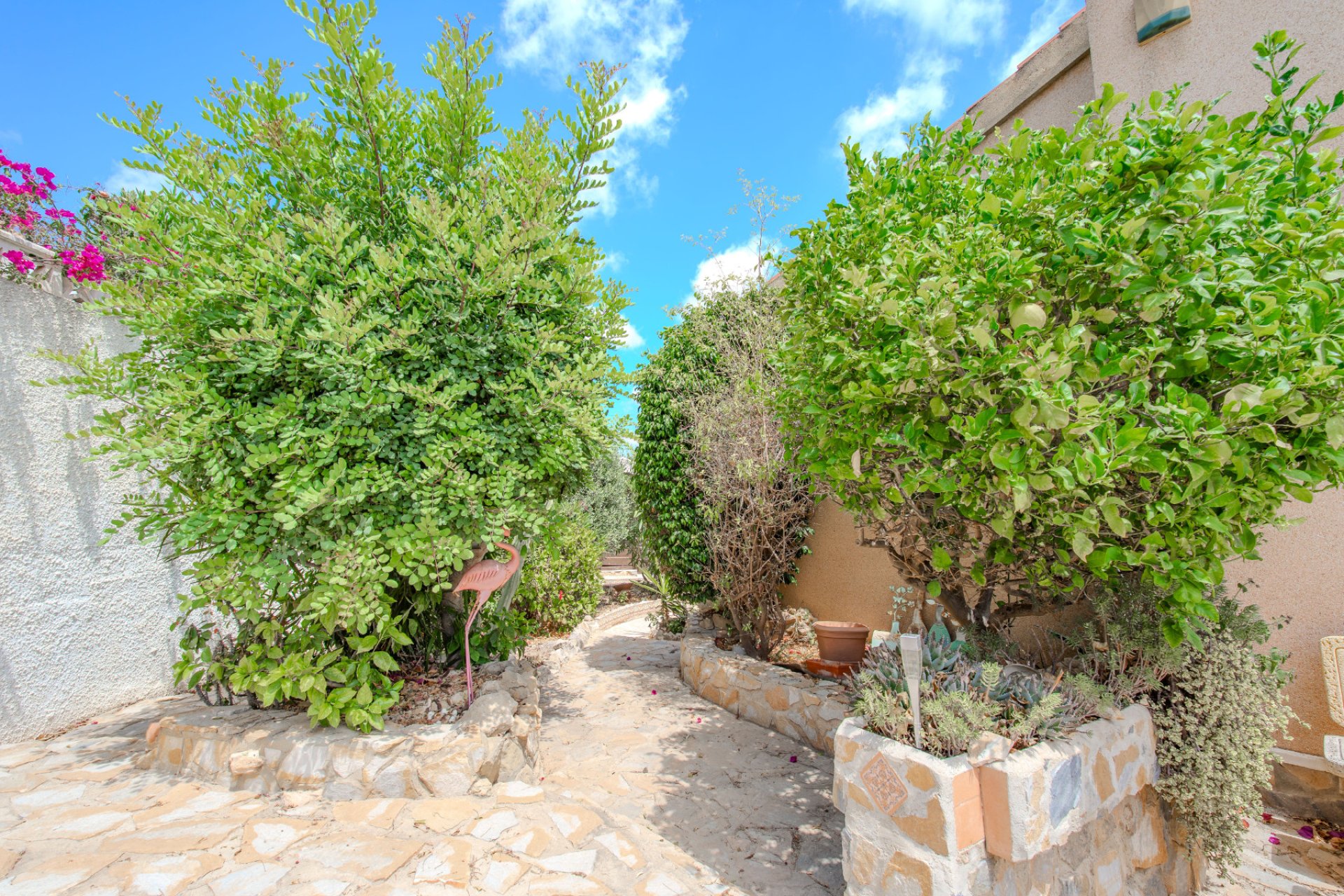 Resale - Villa -
Ciudad Quesada - La Marquesa Golf