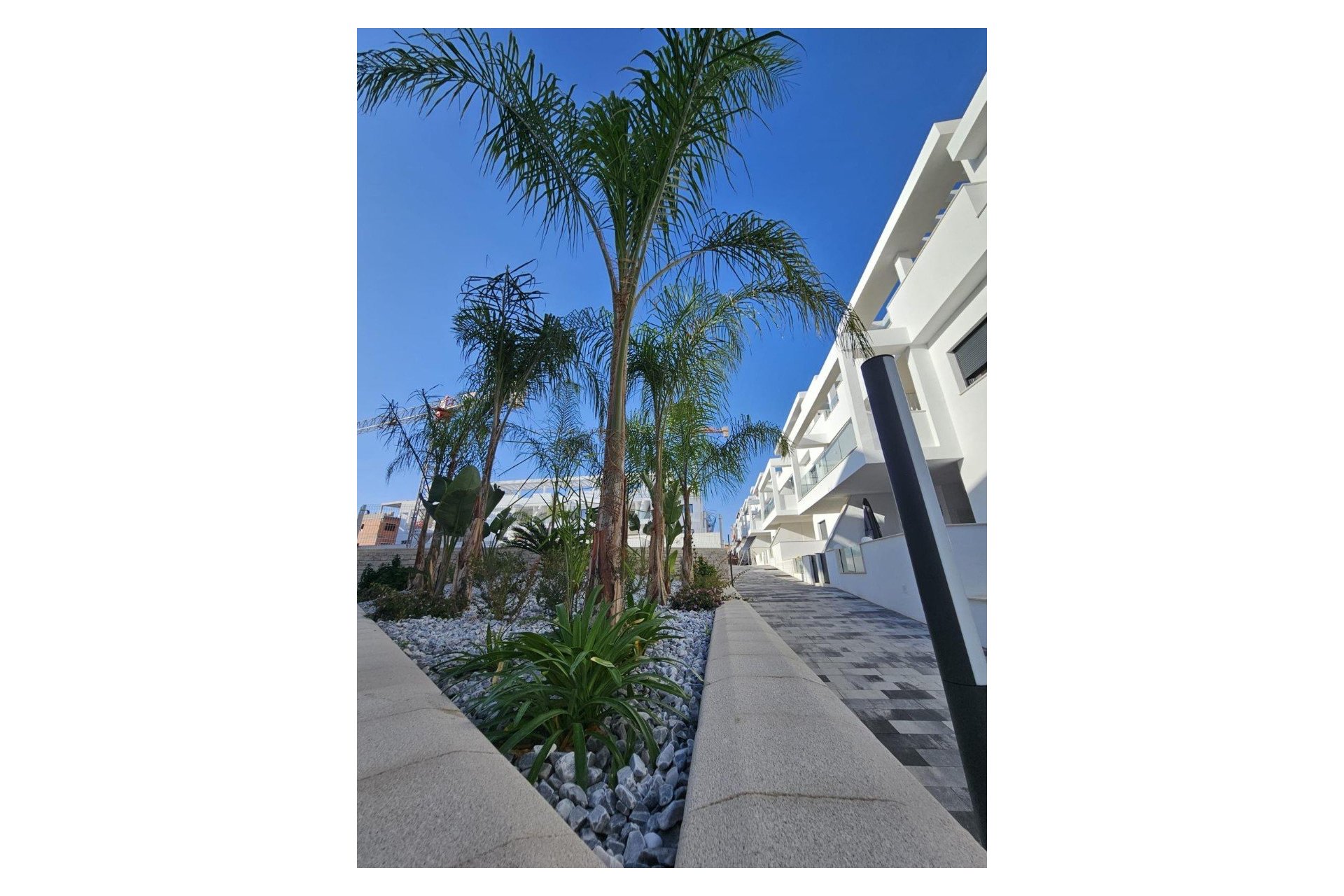 Reventa - Adosado -
Torrevieja - Los Balcones