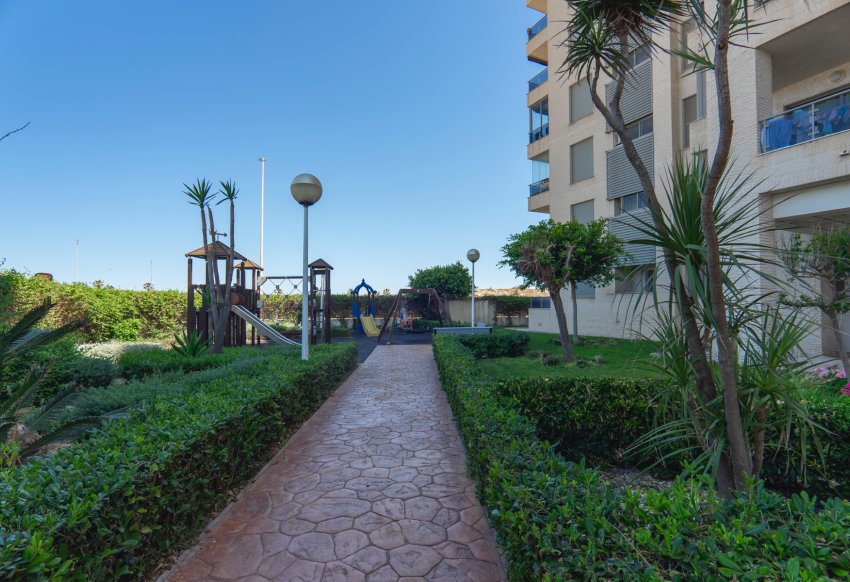 Revente - apartment -
Guardamar del Segura - Puerto Deportivo