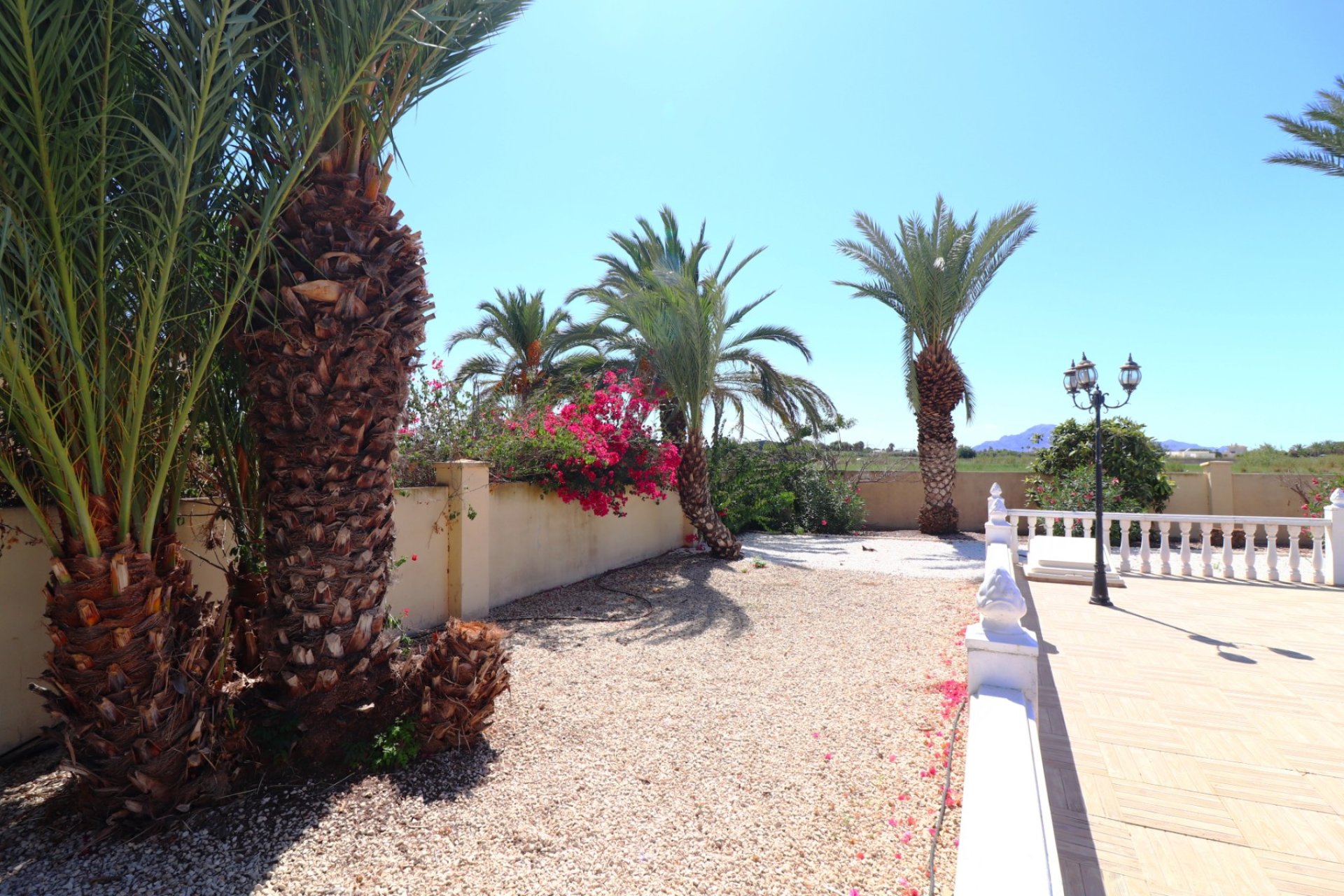 Revente - Country House -
Catral