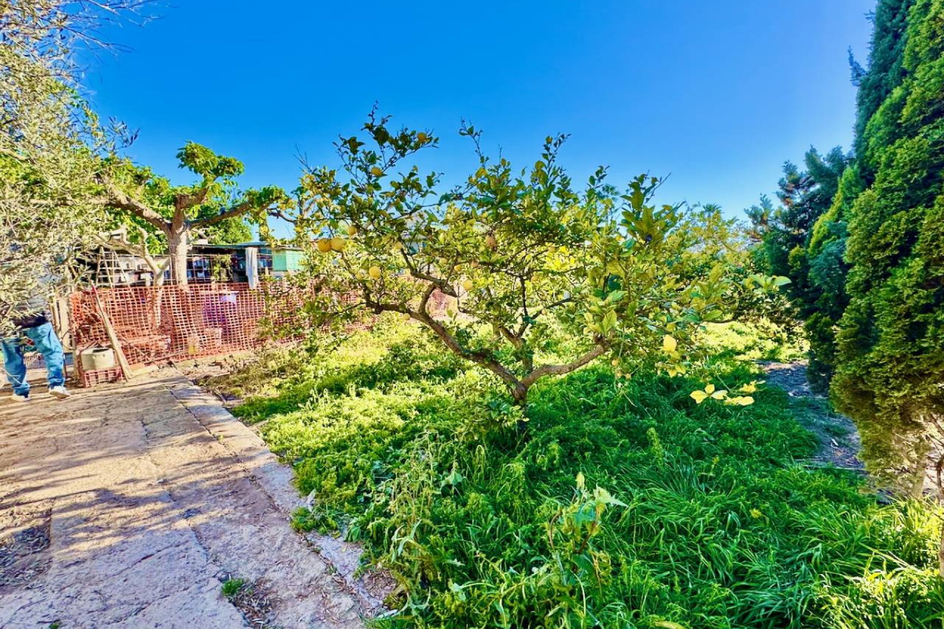 Revente - Country House -
Guardamar del Segura