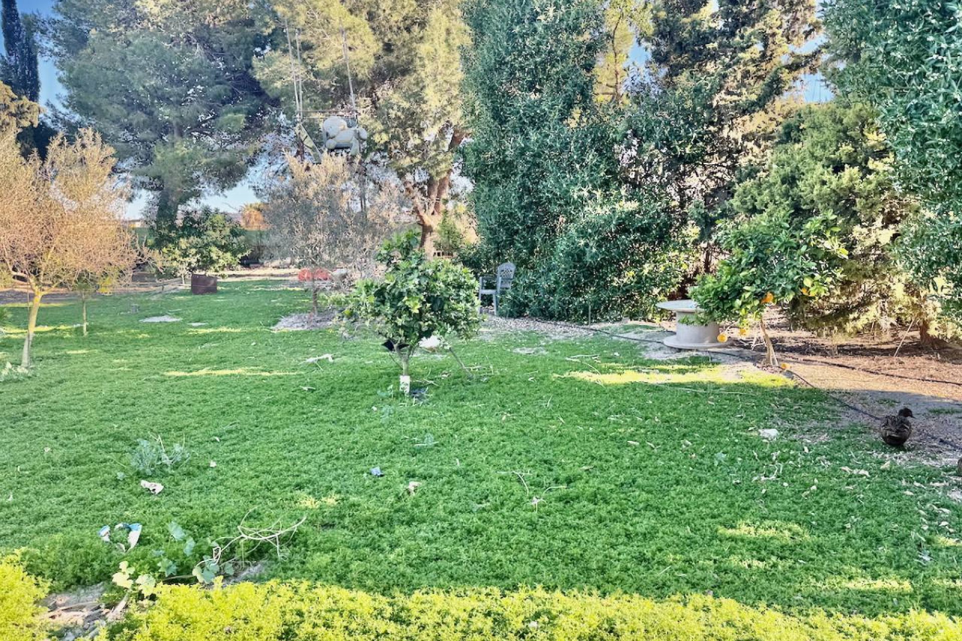 Revente - Country House -
Guardamar del Segura
