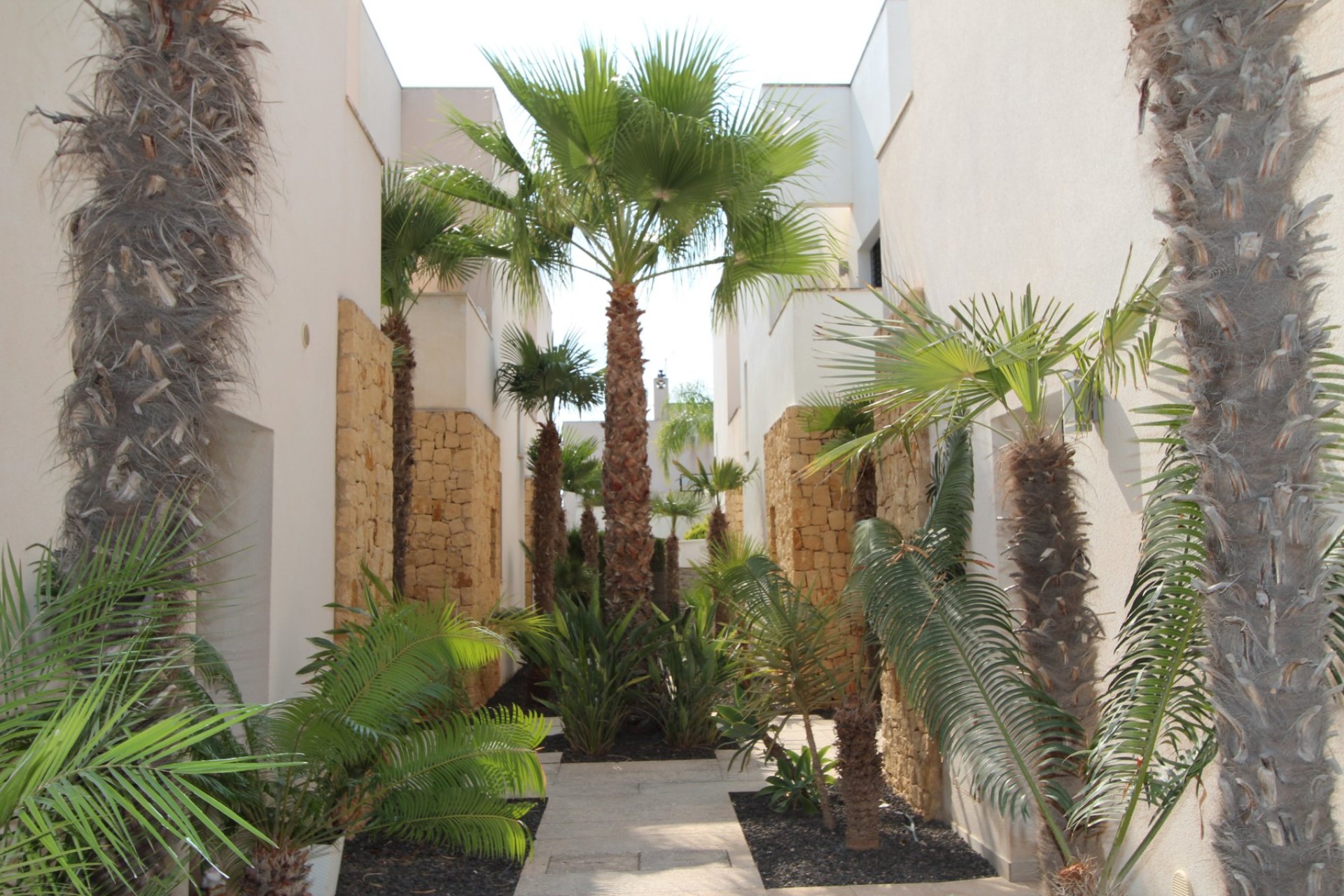 Revente - Villa -
Ciudad Quesada - Doña Pepa