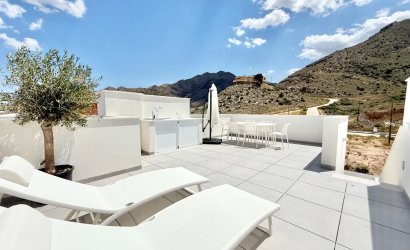 terraced - New Build - Cox -
                Cox