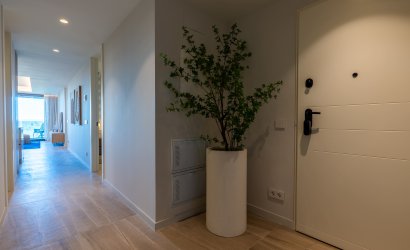 Obra nueva - Ático -
Guardamar del Segura