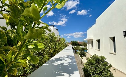 Obra nueva - detached -
Benijofar