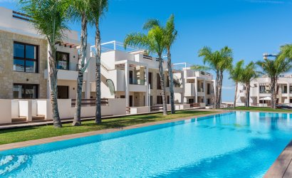 Obra nueva - high-bungalow -
Torrevieja