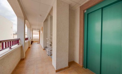 Obra nueva - Planta Baja -
San Fulgencio