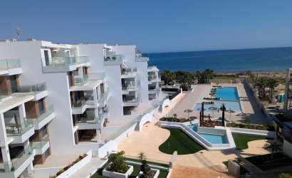 New Build - apartment -
Denia