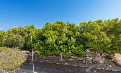 Obra nueva - Villa -
Mil Palmeras