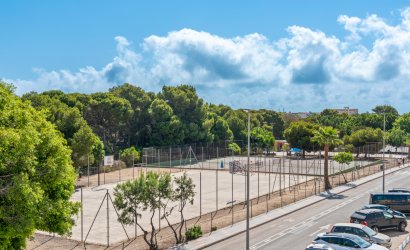 Obra nueva - Villa -
Mil Palmeras