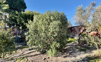 Tweedehands - Country House -
Guardamar del Segura