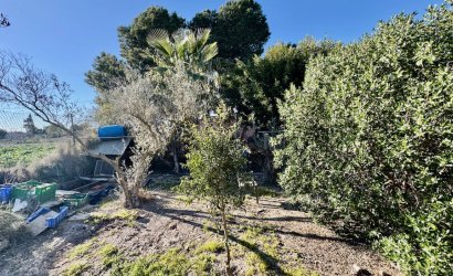 Tweedehands - Country House -
Guardamar del Segura