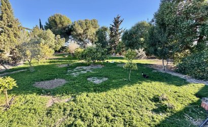 Tweedehands - Country House -
Guardamar del Segura