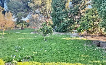 Tweedehands - Country House -
Guardamar del Segura