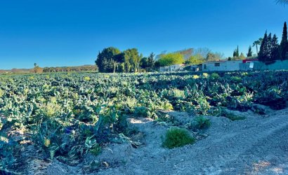 Tweedehands - Country House -
Guardamar del Segura