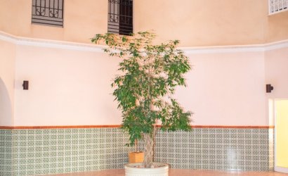 Reventa - apartment -
Torrevieja - Playa Los Locos