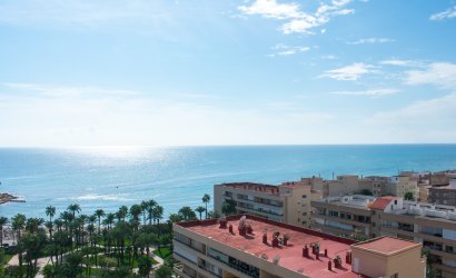 Reventa - apartment -
Torrevieja - Playa Los Locos