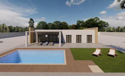Obra nueva - detached -
El Pinós