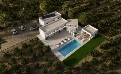 Obra nueva - detached -
Benejúzar