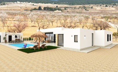 Obra nueva - detached -
Pinoso