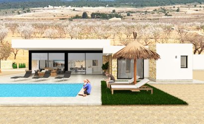 Obra nueva - detached -
Pinoso