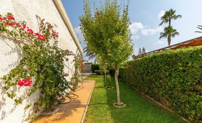 Tweedehands - Villa -
Torrevieja - Playa de los Locos