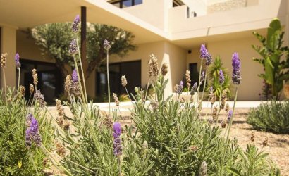 Obra nueva - Villa -
La Marina