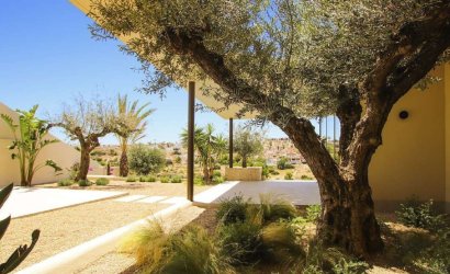 Obra nueva - Villa -
La Marina