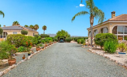 Tweedehands - Country House -
Catral