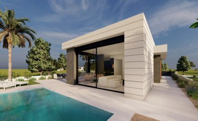 Obra nueva - detached -
Pilar de la Horadada