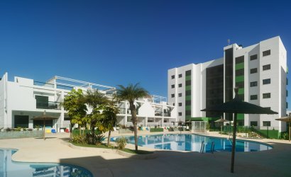 Obra nueva - low-bungalow -
Mil Palmeras