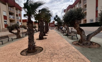 New Build - apartment -
Orihuela Costa