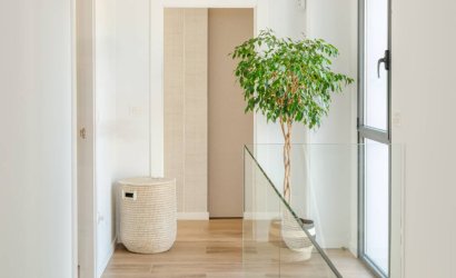 Obra nueva - detached -
Molina de Segura