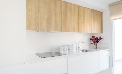 Obra nueva - detached -
Finestrat