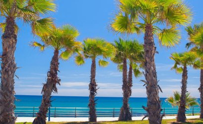 Nieuwbouw - ground-floor -
Cabo Roig