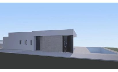Obra nueva - detached -
Aspe