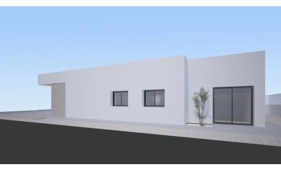 Obra nueva - detached -
Aspe