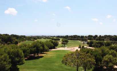New Build - ground-floor -
Pinar de Campoverde