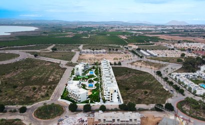 Obra nueva - apartment -
Guardamar del Segura