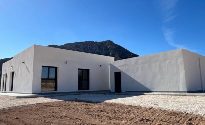 Obra nueva - detached -
La Canalosa