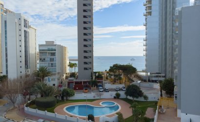 Obra nueva - apartment -
Calpe