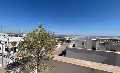 Obra nueva - Ático -
Torrevieja