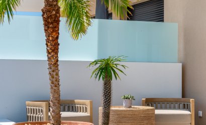 Obra nueva - terraced -
Dolores