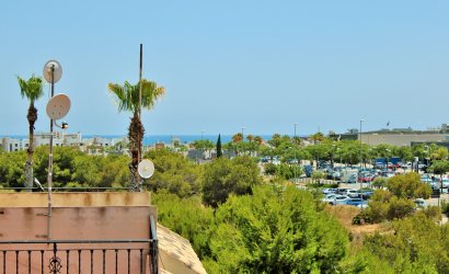 Tweedehands - Herenhuis -
Playa Flamenca