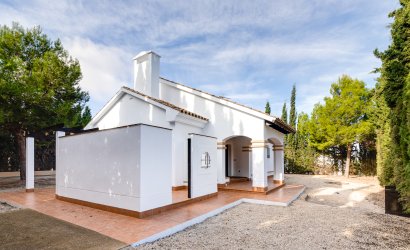 Obra nueva - detached -
Fuente Alamo