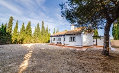 Obra nueva - detached -
Fuente Alamo