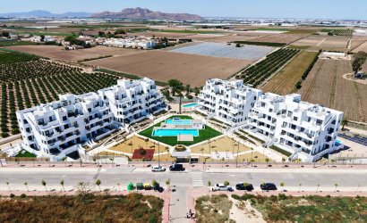 Obra nueva - Planta Baja -
Torre-Pacheco