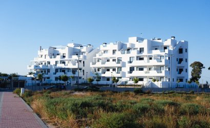 Obra nueva - Planta Baja -
Torre-Pacheco