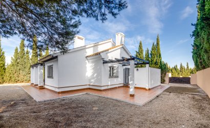 Obra nueva - detached -
Fuente Alamo